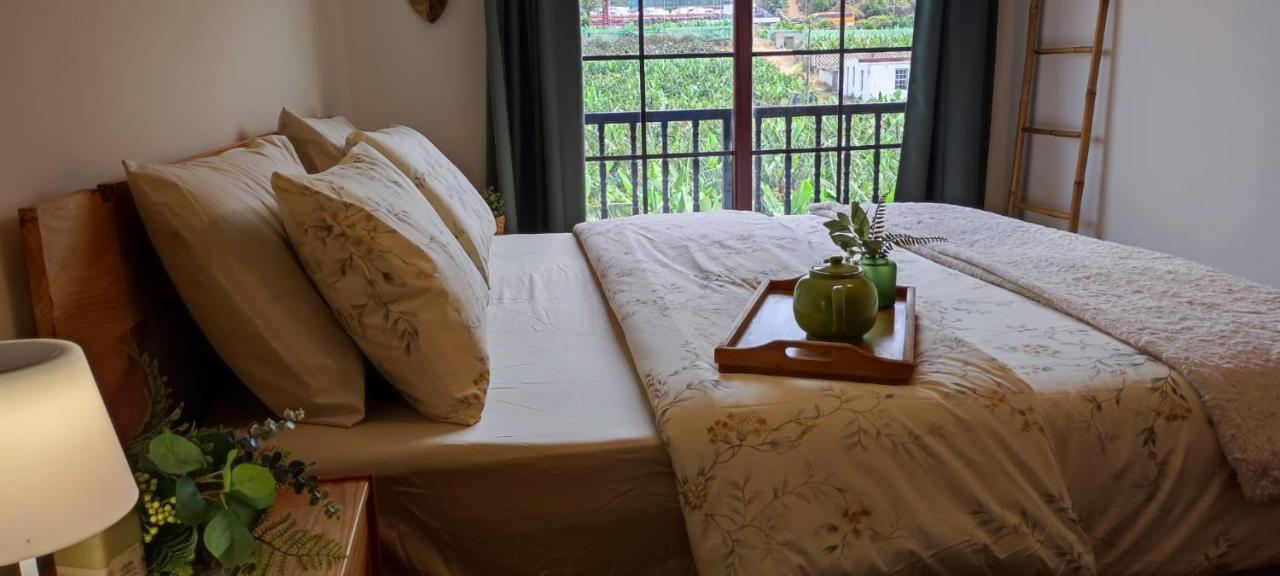 Апартаменти Casa Banana Sunset Санта-Крус-де-Тенеріфе Екстер'єр фото